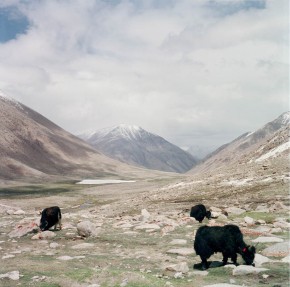 ladakh-2012webmarc-de-clercq